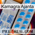 Kamagra Ajanta new15